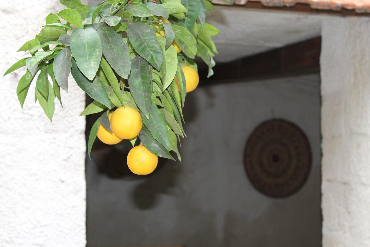 B&B Danonna Ittiri Exteriér fotografie